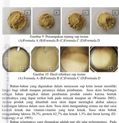 Gambar 9  Penampakan tepung sup instan  