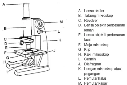 Gambar  5.11Jalur cahaya melalui sebuah mikroskop