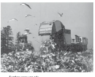 Gambar 10.8Tempat pembuangan sampah (limbahpadat) yang dihasilkan manusiamerupakan salah satu polutan.