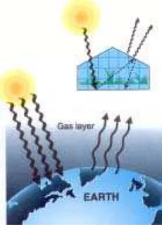 Gambar 10.11Efek rumah kaca terjadi bila energi cahayadari matahari masuk ke bumi melewatilapisan gas transparan di atmosfer,kemudian setelah me-nyentuh bumidipantul-kan kembali sebagai panas