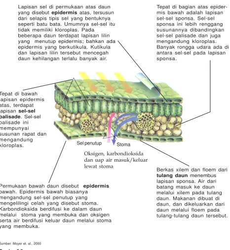 Gambar 5.6