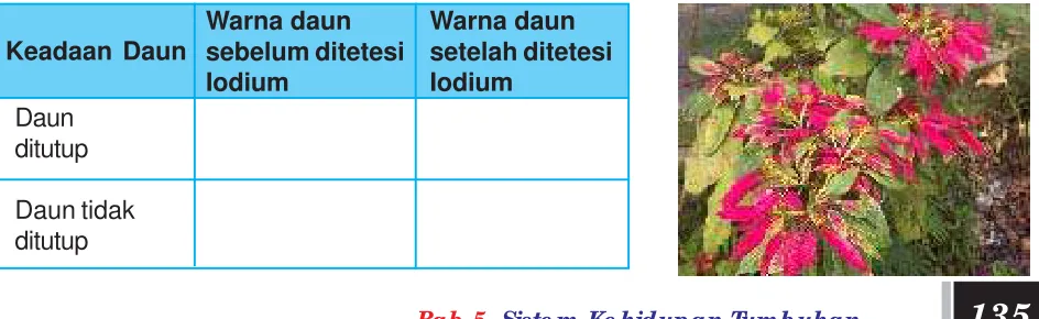 tabel di bawah.