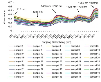 Gambar 11  Grafik absorbsi near infrared                            gelombang 915 sampai 1990 nm setelah  oleh tepung ikan pada panjang pre-treatment data