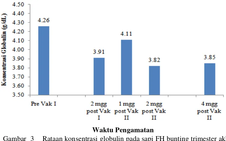 Gambar  3    Rataan konsentrasi globulin pada sapi FH bunting trimester akhir 