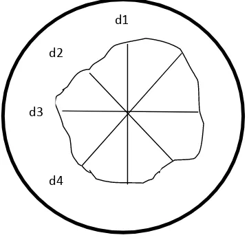 Gambar 5. Ilustrasi pengukuran diameter koloni C. capsici.
