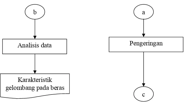 Gambar 10. Diagram alir penelitian utama 