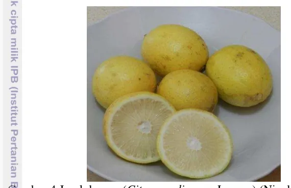 Tabel 2 Kandungan Gizi Lemon 