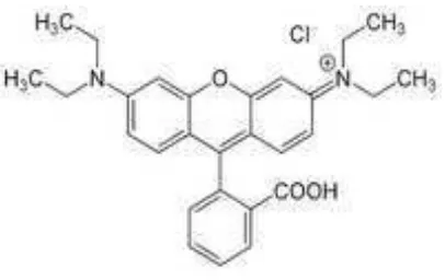 Gambar 1. Struktur kimia Rhodamin B 