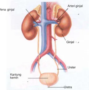 Gambar 1.1