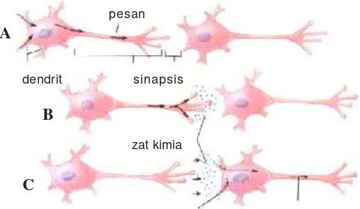 Gambar 3.4Pesan bergerak dari satu neuron ke neuronC