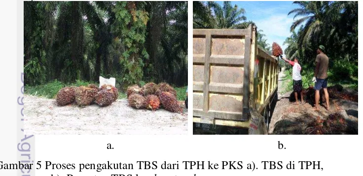Gambar 5 Proses pengakutan TBS dari TPH ke PKS a). TBS di TPH, 