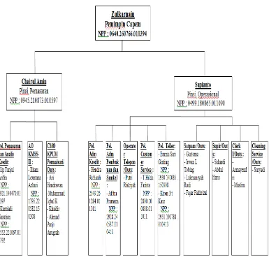 Gambar 2.2 Struktur Organisasi PT. Bank Sumut KCP Pangkalan Brandan 