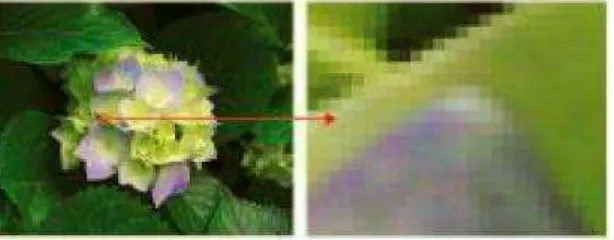Gambar 2.3 Pixel pada citra digital 