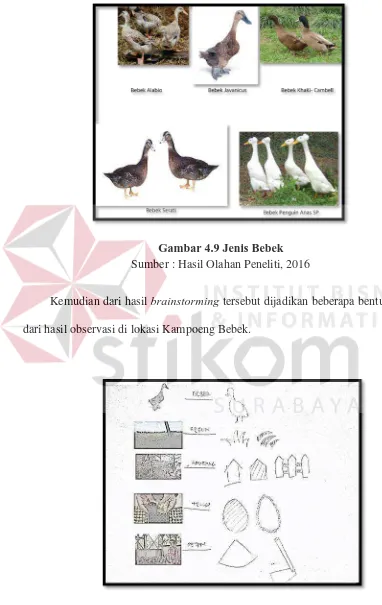 Gambar 4.9 Jenis Bebek 