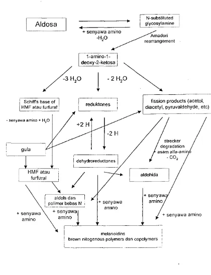 Gambar 1. Skema reaksi browning non enzimatik dalam pembentukan melanoidin (Eskin, 1991) 