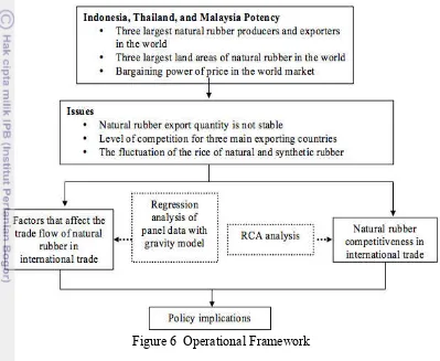 Figure 6  Operational Framework 