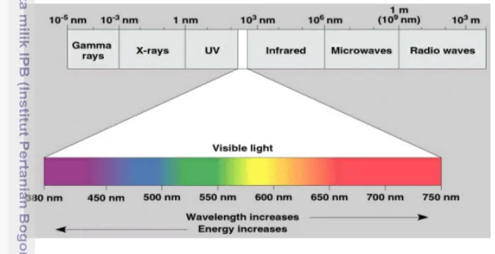 Gambar spektrum eloktromagnetik dapat dilihat pada Gambar 2.  