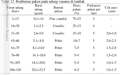 Tabel 12  Pemberian pakan pada udang vaname di tambak 