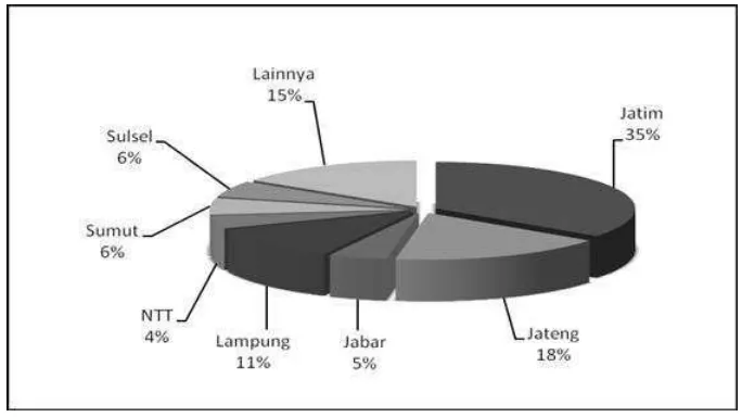 Gambar 7. Kontribusi Sentra Produksi Jagung di Indonesia Tahun 2005. 