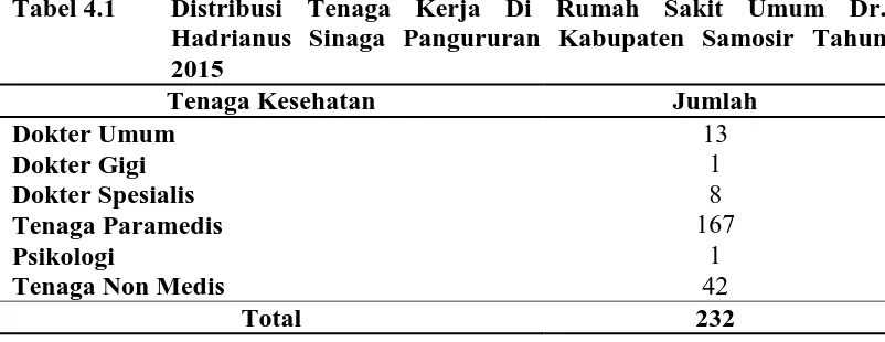 Tabel 4.1 Distribusi Tenaga Kerja Di Rumah Sakit Umum Dr. Hadrianus Sinaga Pangururan Kabupaten Samosir Tahun 
