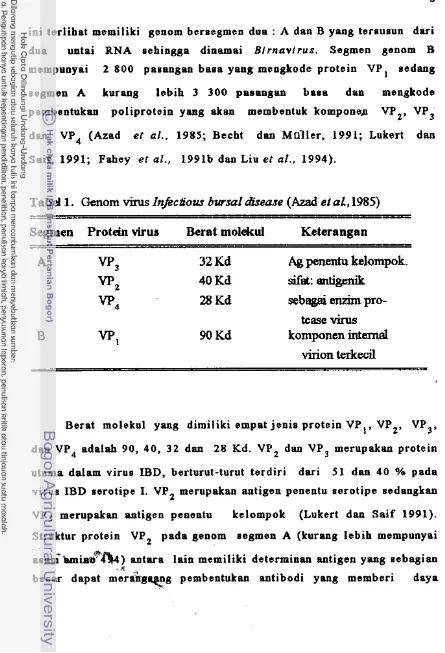 Tabel 1. Genom virus Infectious bursa1 h e u s e  (Azad et al, 1985) 