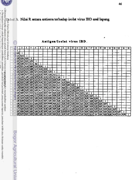 Tabel 3. Nilai R antara antisera terhadep isolat virus IBD asal lapeng 