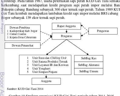 Gambar 10 Struktur organisasi KUD Giri Tani periode tahun 2011-2016 