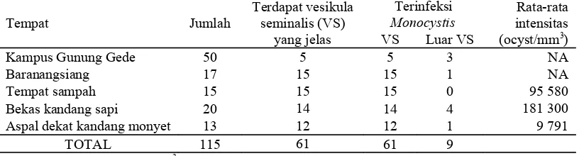 Tabel 1  Jumlah cacing yang terinfeksi Monocystis