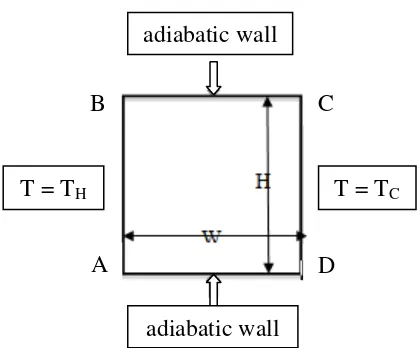 Figure 2.1 Problem physics and boundary condition for rectangular cavity