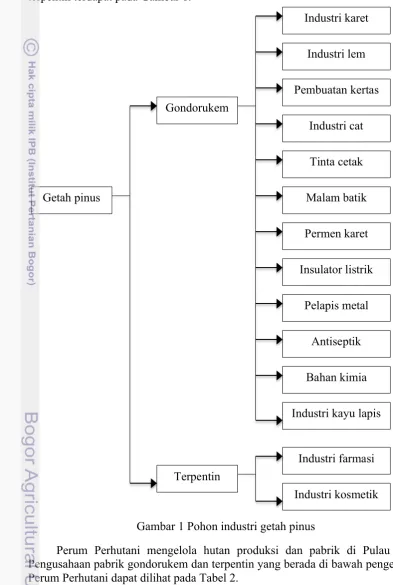 Gambar 1 Pohon industri getah pinus 