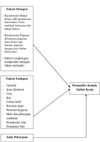 Gambar 1. Kerangka Teori (Wolff et al, 2008; Sanja, 2009). 