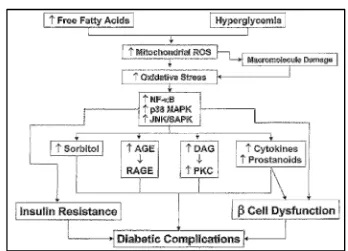 Gambar 2.2. Hubungan antara peningkatan FFA dan hiperglikemia menghasilkan 