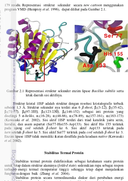 Gambar 2.1 Representasi struktur sekunder enzim lipase Bacillus subtilis serta 
