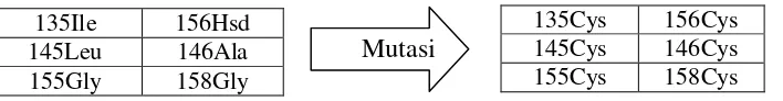Gambar 4.5 Target mutasi pada enzim wild type dan mutan-mutan yang dihasilkan  
