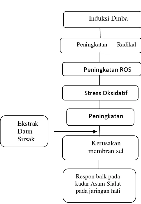 Gambar 7. Kerangka Teori Efek Kemopreventif Pemberian ekstrak  Daun Sirsak pada Kadar Asam Sialat Hati Tikus Putih Betina yang Diinduksi Senyawa DMBA 