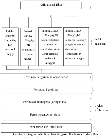 Gambar 9. Diagram Alir Penelitian Pengaruh Pemberian Ekstrak Daun 