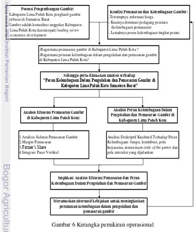 Gambar 6 Kerangka pemikiran operasional 