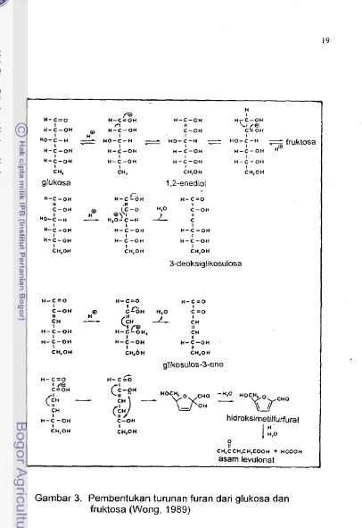 Gambar 3. Pembentukan turunan furan dari glukosa dan 