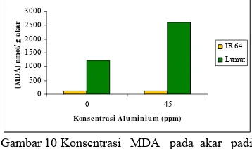Gambar 10 Konsentrasi   MDA   pada  akar   padi             varietas   IR64   dan   kedelai  varietas    Lumut pada konsentrasi cekaman Al 0    dan 45 ppm selama 24 jam