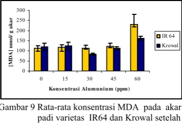 Gambar 9 Rata-rata konsentrasi MDA  pada  akar  padi varietas  IR64 dan Krowal setelah   mendapat  cekaman   Al   0, 15, 30, 45,  dan  60 ppm  selama  24 jam