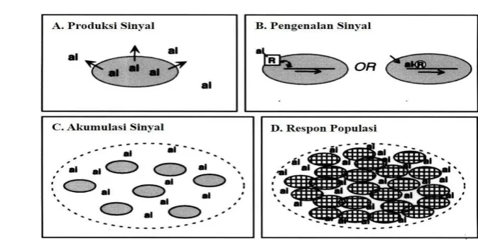 Gambar 1 Mekanisme  quorum sensing pada bakteri 