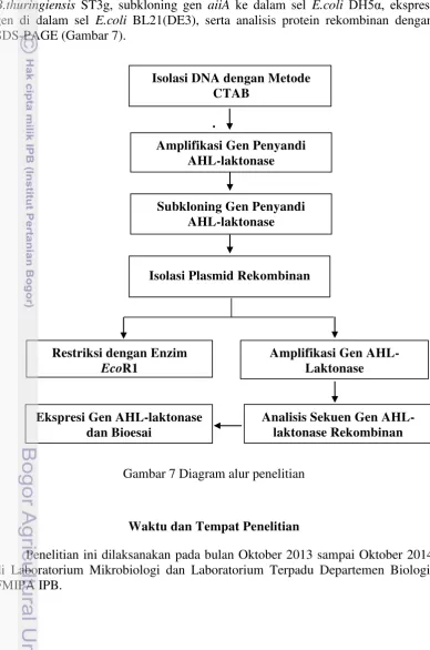 Gambar 7 Diagram alur penelitian 