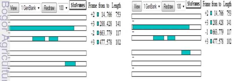 Gambar 16 Hasil analisis Open Reading Frame (ORF) dari bakteri B.thuringiensis 