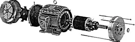 Gambar 2. 2. Motor Tipe Rotor Sangkar Tupai (squirrel-cage rotor) 