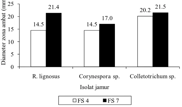 Gambar 4.3  Hasil uji antagonis bakteri kitinolitik rizosfer terhadap jamur patogen  