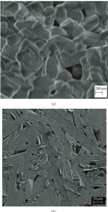 Figure 2: FESEM image of BiT: (a) calcined powder at 750◦C for 3hours and (b) sintered bulk ceramic at 1100◦C for 3 hours.