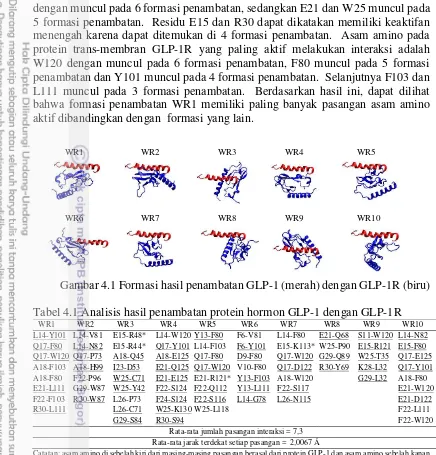 Gambar 4.1 Formasi hasil penambatan GLP-1 (merah) dengan GLP-1R (biru) 