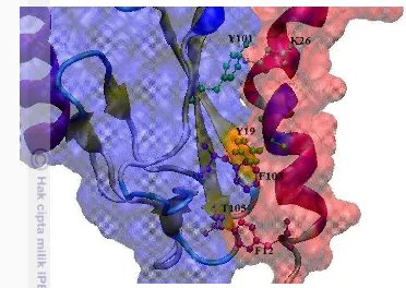 Gambar 4.6 Interaksi antar asam amino pada hasil penambatan protein  