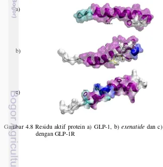 Gambar 4.8 Residu aktif protein a) GLP-1, b) exenatide dan c) liraglutide 