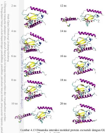 Gambar 4.13 Dinamika interaksi molekul protein exenatide dengan GLP-